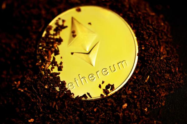 AVAX, the Ethereum Killer: What You Need to Know